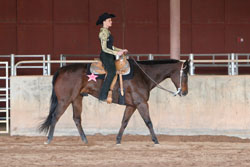 Figure 19: Correct hand and arm placement
for the horsemanship rider. Note
that the reins are carried in this rider?s
left hand while the right hand is held at
a similar height but does not touch the
reins.